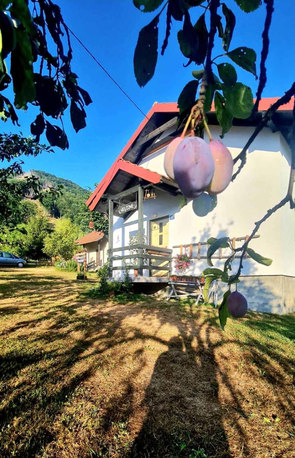 Kosta'S Romantic House Plav Exteriér fotografie